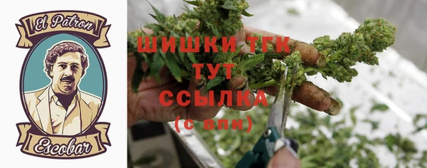 спиды Армянск