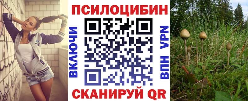 Псилоцибиновые грибы Cubensis  Магадан 